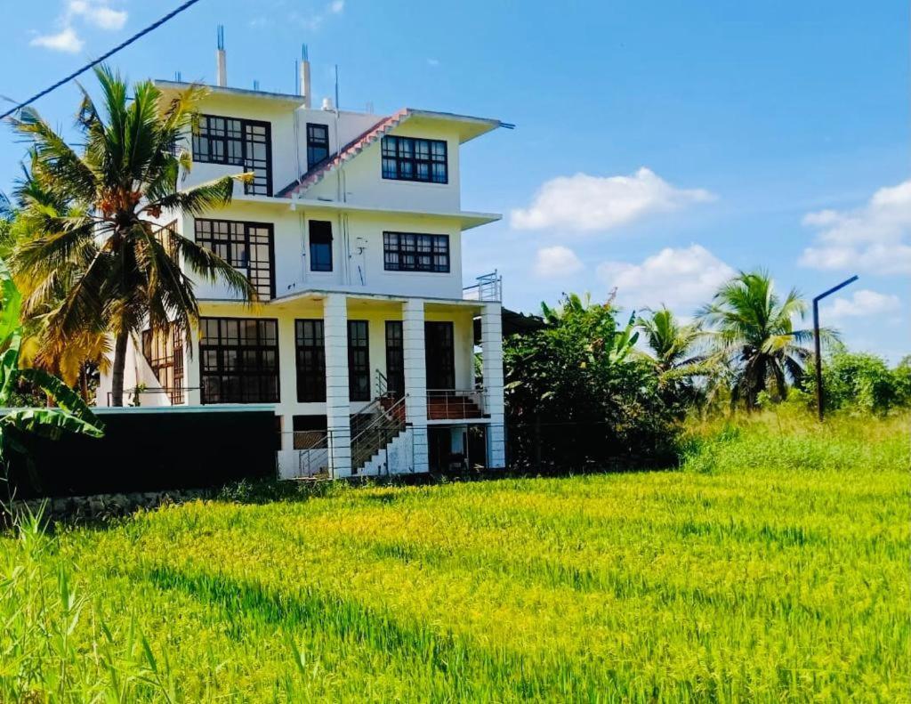 Freedom Of Green Rice View Anuradhapura Exterior foto