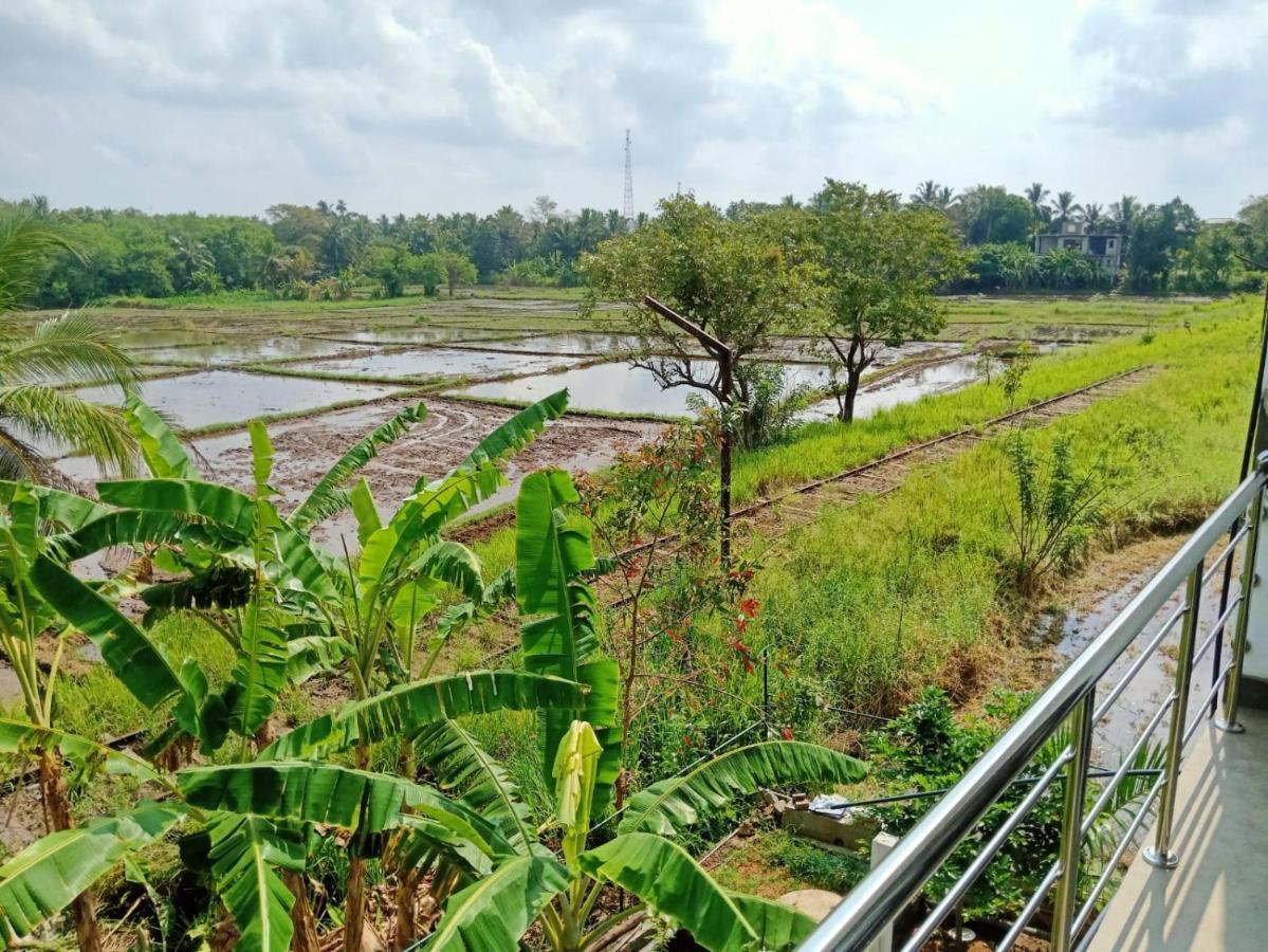 Freedom Of Green Rice View Anuradhapura Exterior foto