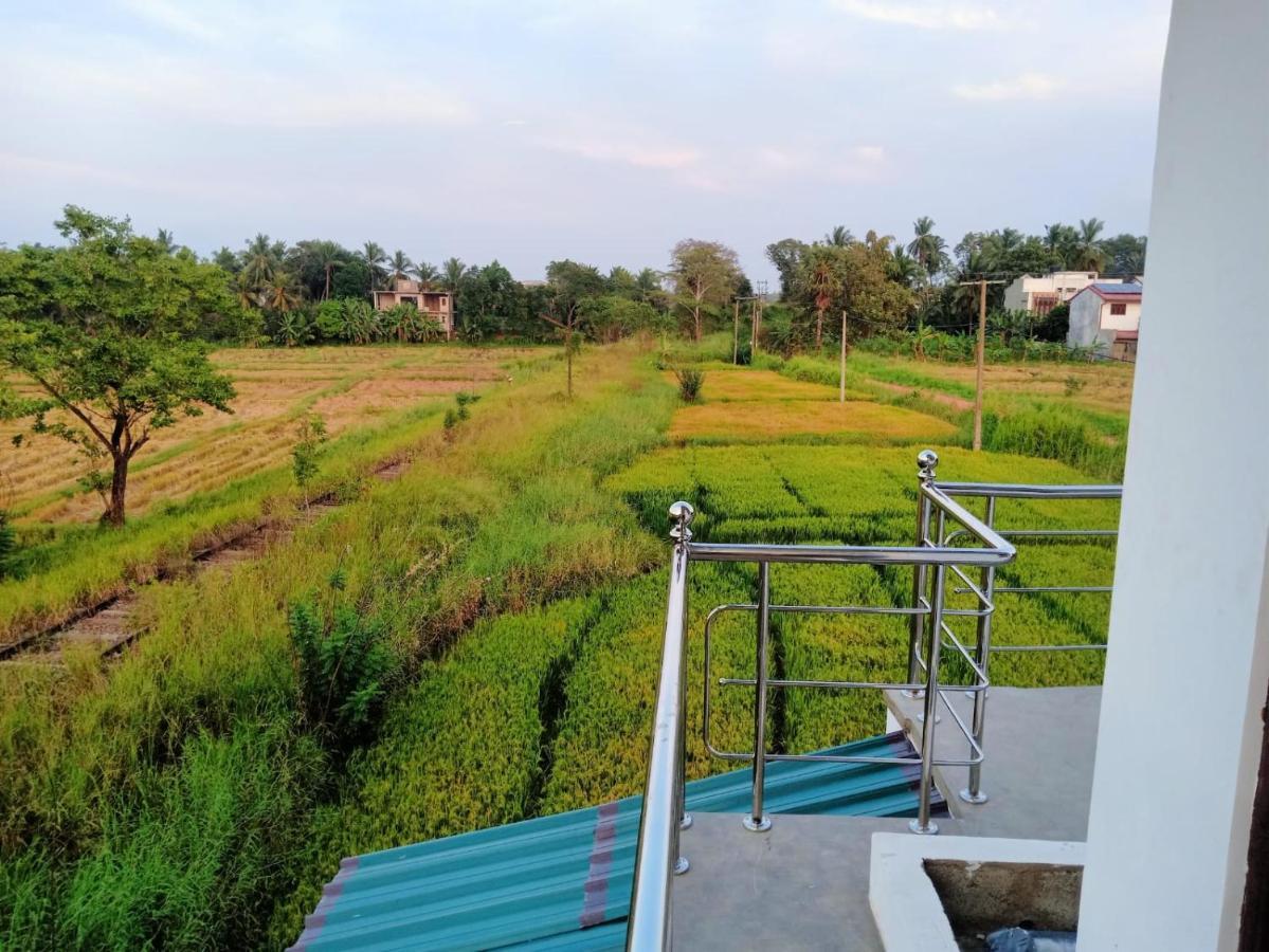Freedom Of Green Rice View Anuradhapura Exterior foto