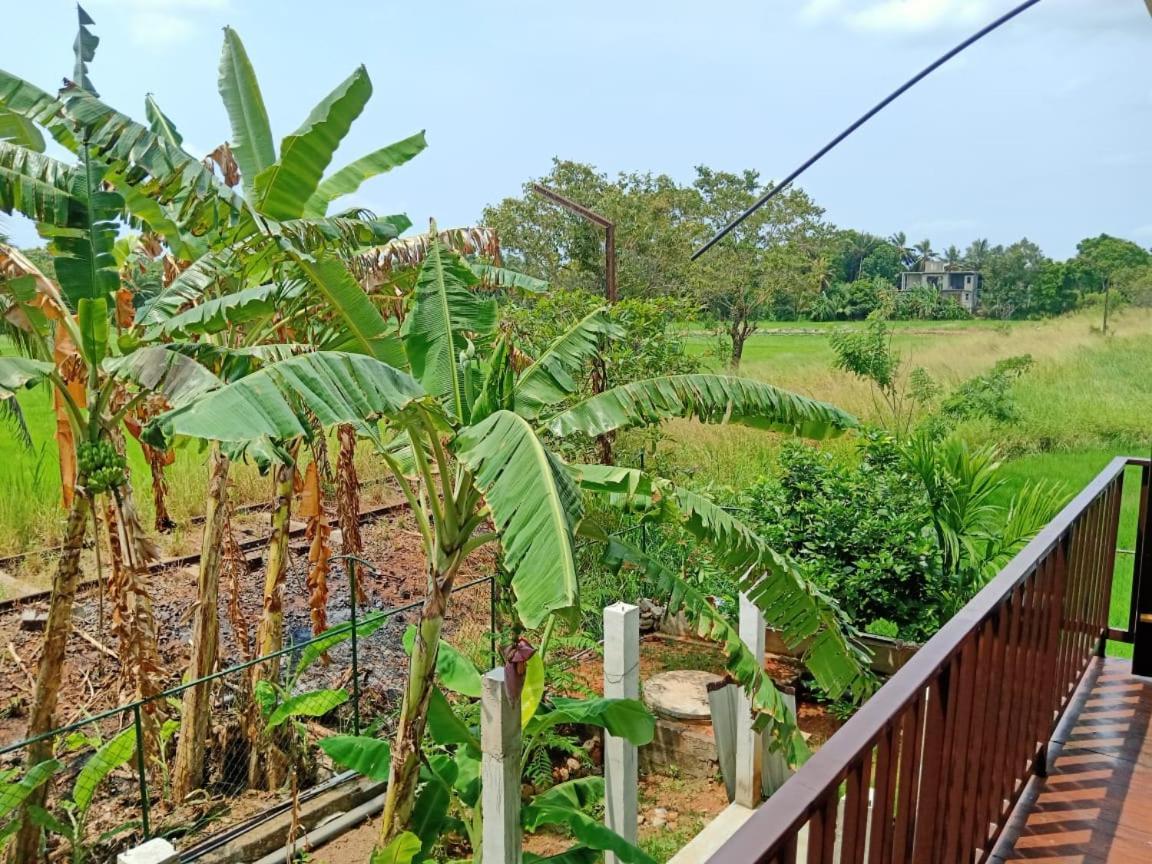 Freedom Of Green Rice View Anuradhapura Exterior foto